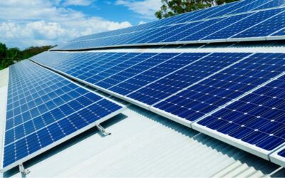 Types of Solar Panels: Choosing the Right One for Your Needs